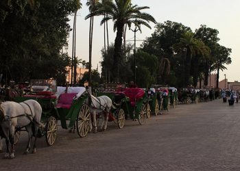 Top 10 Things to not Do in Marrakech