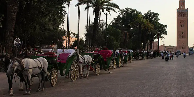 Top 10 Things to not Do in Marrakech