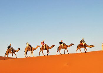 Tinfou Dunes Day Trip: Dra’a Valley, Camel Trek – 1 day