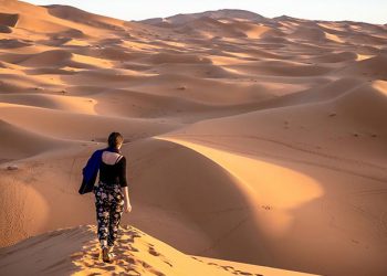 Essential Tips for Perfect Sahara Desert Tours