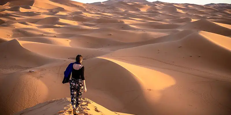 Essential Tips for Perfect Sahara Desert Tours