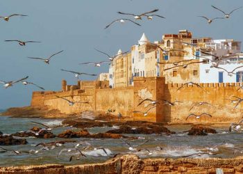 Morocco Imperial Cities Tour from Casablanca – 12 days