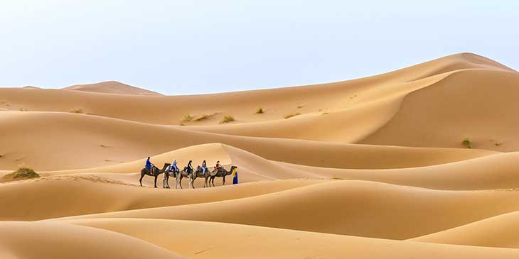 Riding Camels in Morocco